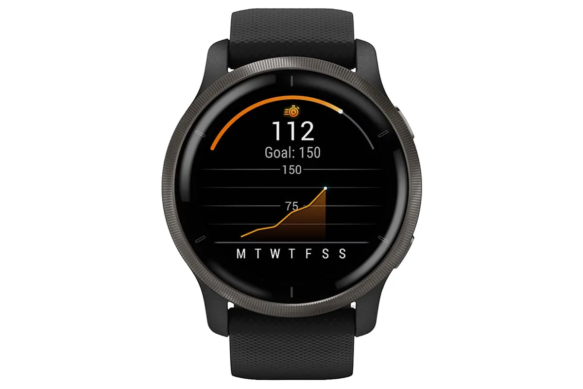 Garmin Venu 2 | Black/Slate