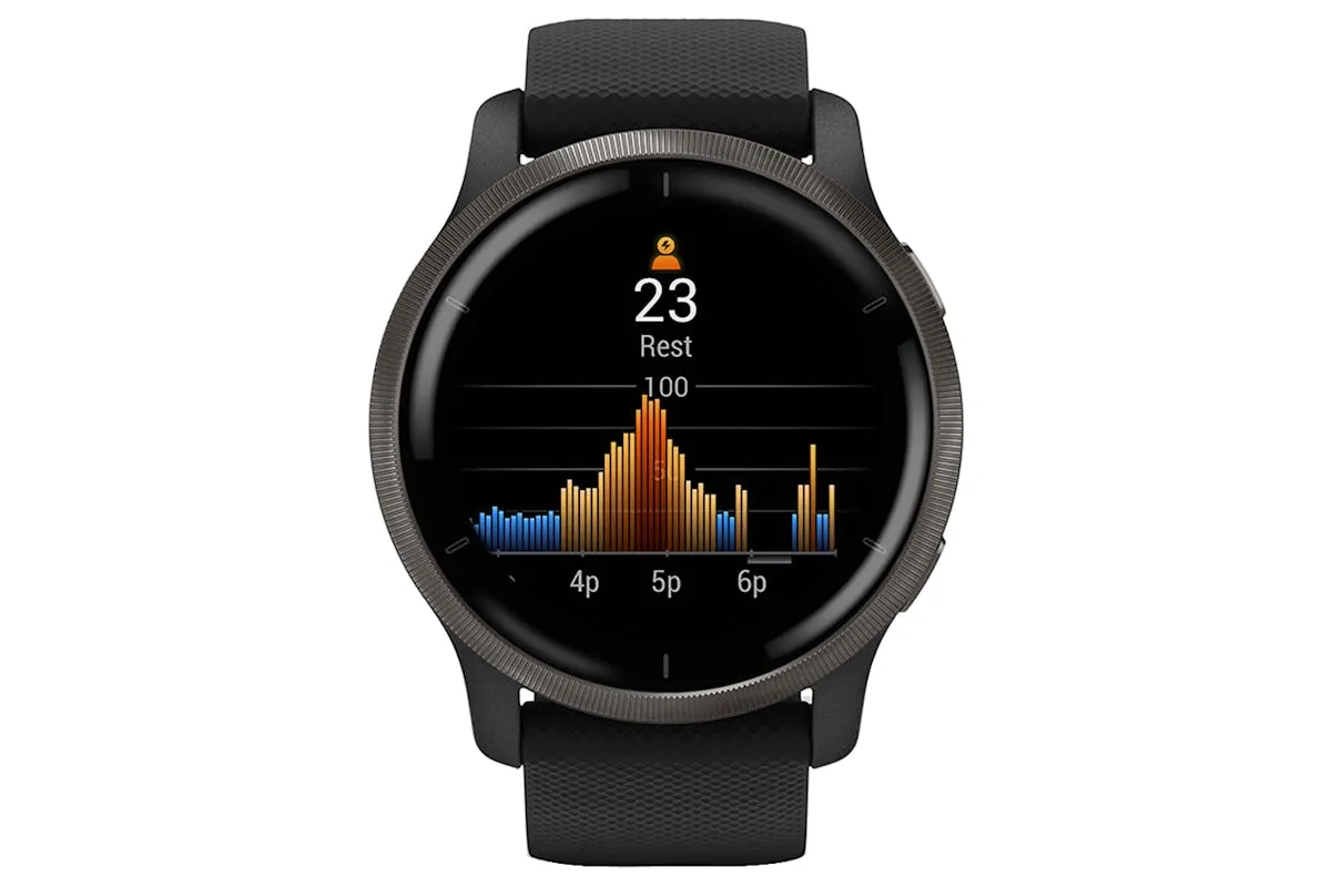 Garmin Venu 2 | Black/Slate