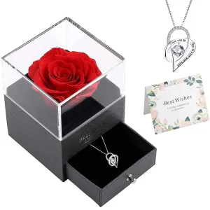 Silver Eternal Rose Necklace (925 Sterling Necklace)